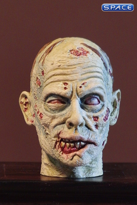 1/6 Scale Zombie Head Ruddy (regular paint)