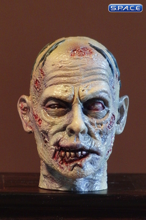 1/6 Scale Zombie Head Ruddy (professional paint)