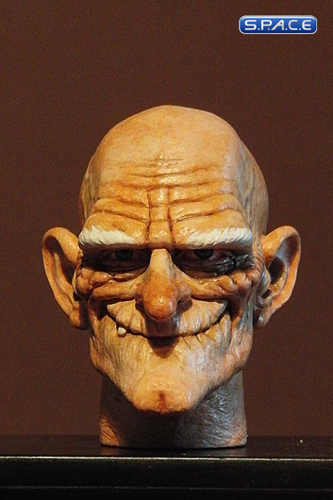 1/6 Scale Gnome Head Uncle Creepy (professional paint)