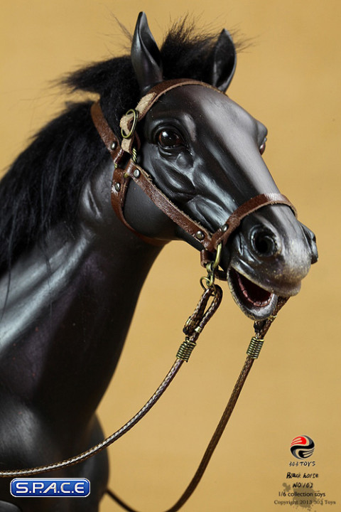 1/6 Scale Black Horse (China Series)