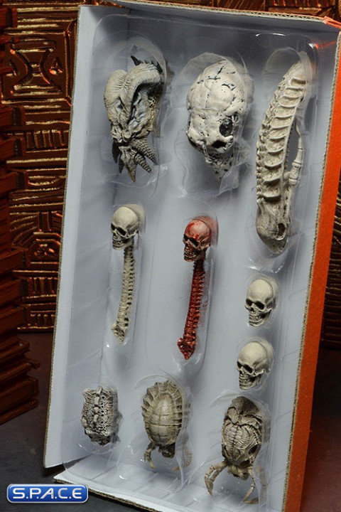 Predator Trophy Skulls Accessory Pack (Predators)