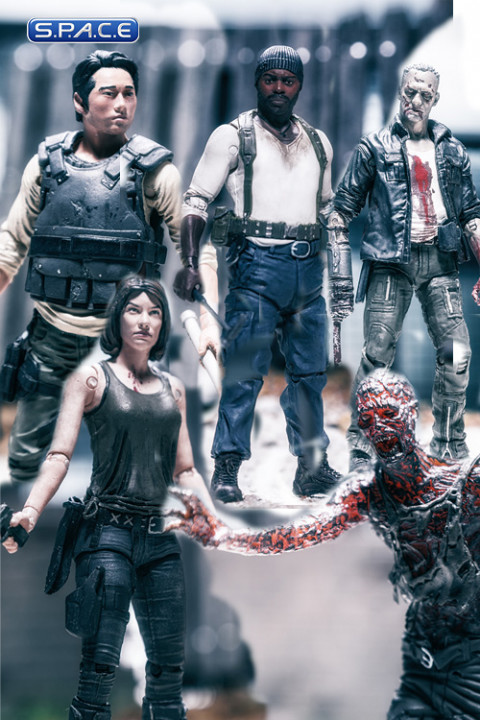 5er Komplettsatz: The Walking Dead - TV Series 5