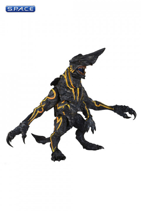 18 Knifehead (Pacific Rim)