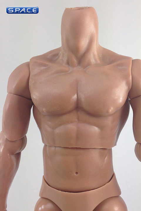 1/6 Scale Musclar Body B005