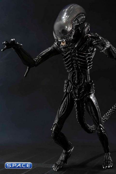 S.H.MonsterArts Big Chap Alien (Alien)