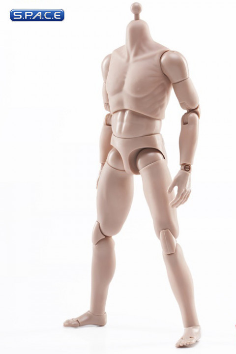 1/6 Scale Male Body (Kit Bashing)