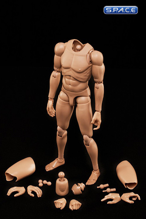 1/6 Scale Male Body - matte asian skin tone MX02-B