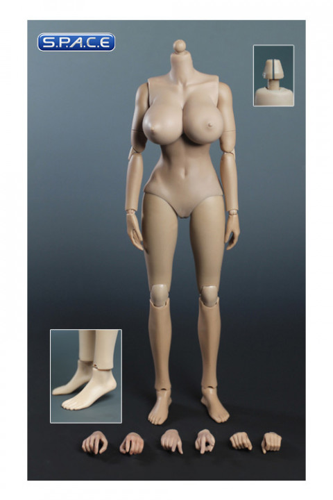 1/6 Scale Female Body Version 2.0 (extra-large breast)