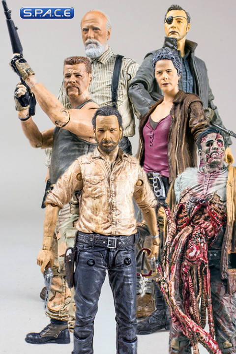 6er Komplettsatz: The Walking Dead - TV Series 6