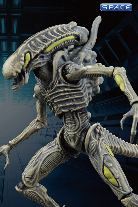 1/18 Scale Xenomorph Boiler (Aliens: Colonial Marines)