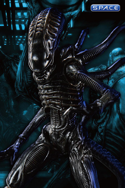 1/18 Scale Xenomorph Soldier  (Aliens: Colonial Marines)