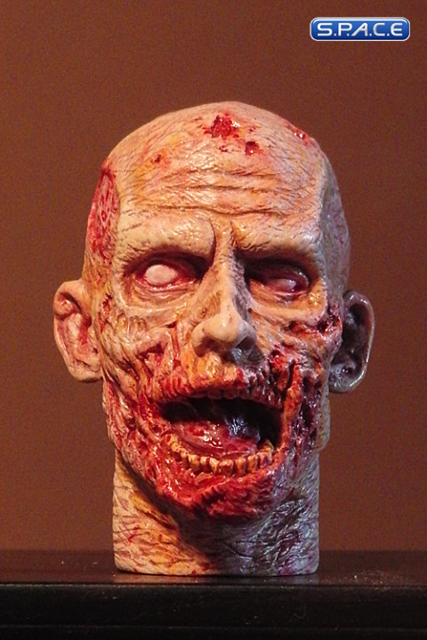 1/6 Scale Zombie Head Frank (professional paint)