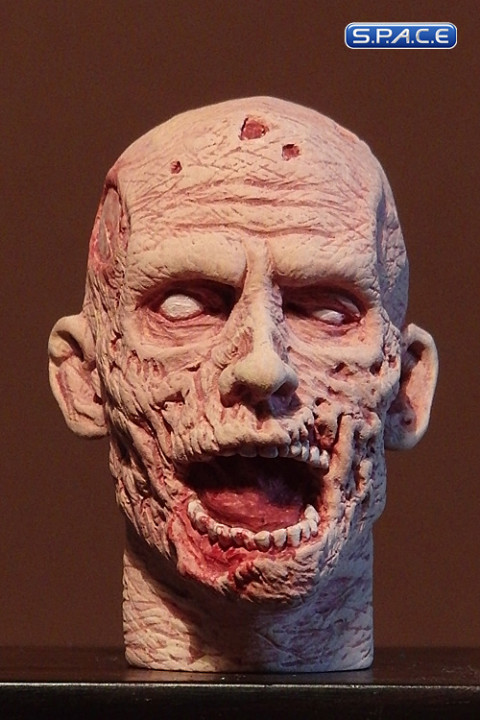 1/6 Scale Zombie Head Frank (regular paint)