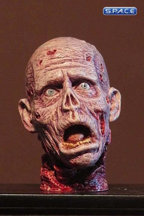 1/6 Scale Zombie Head Jimmy (professional paint)