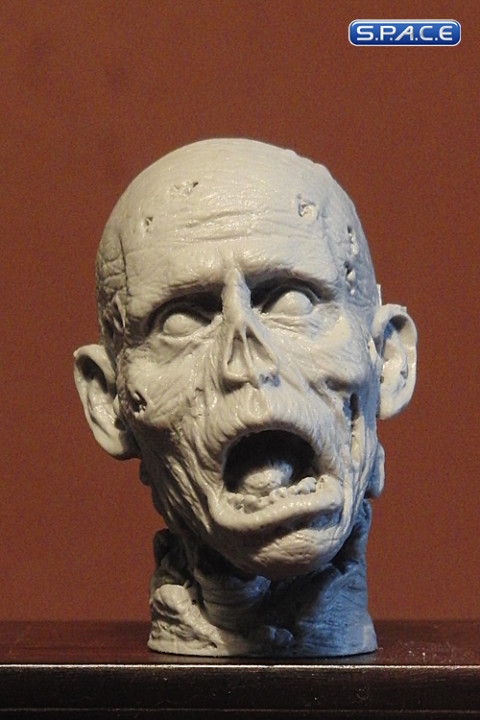 1/6 Scale Zombie Head Jimmy (unpainted)