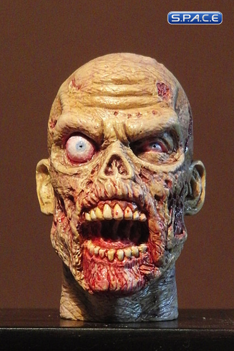 1/6 Scale Zombie Head Keith (professional paint)