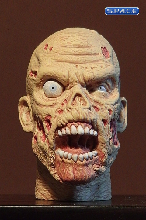 1/6 Scale Zombie Head Keith (regular paint)