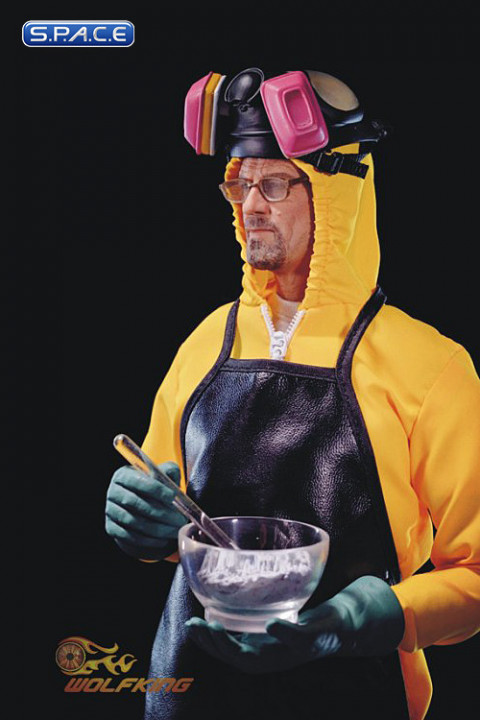 1/6 Scale Walt - the Chemical Poisoning Teacher