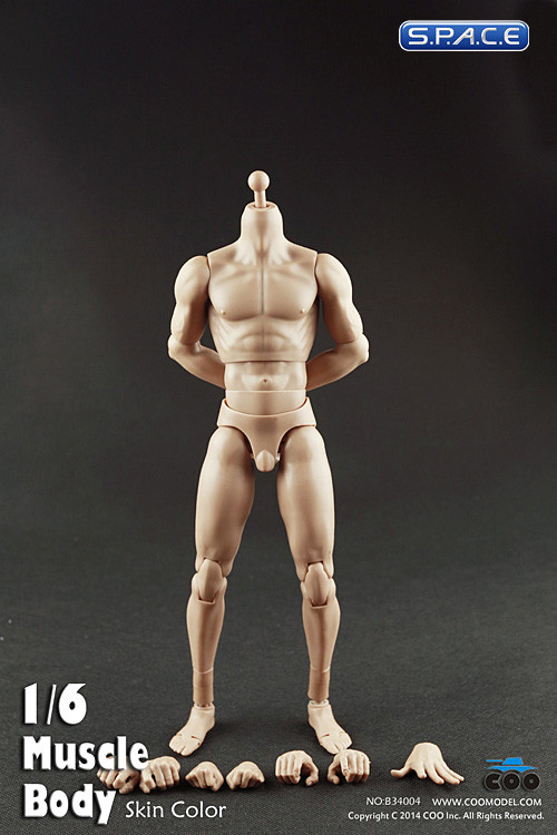 1/6 Scale Muscle male high Body