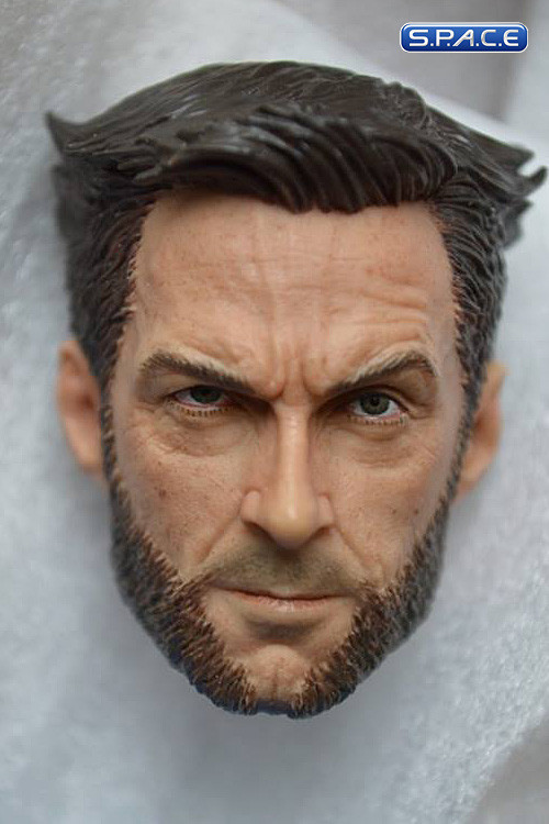 1/6 Scale Logan Head (Visage Collection)