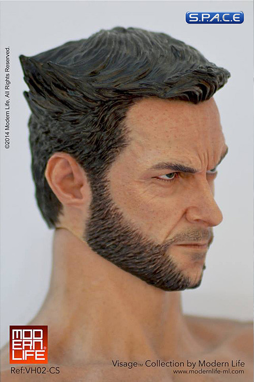 1/6 Scale Logan Head (Visage Collection)