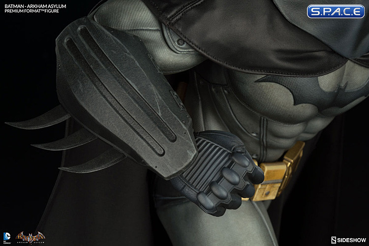 Batman Arkham Asylum Premium Format Figure (Batman Arkham Asylum)