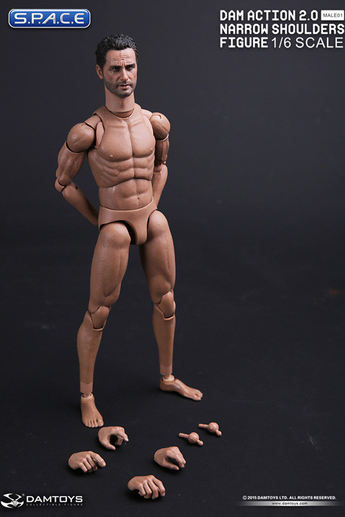 1/6 Scale Andrew Narrow Shoulders Body with Head