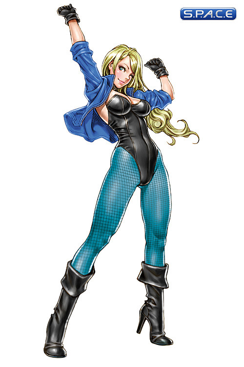 1/7 Scale Black Canary Bishoujo Exclusive PVC Statue (DC Comics)