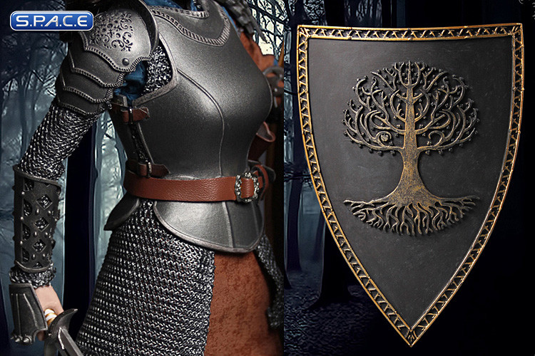 1/6 Scale Princess Knight