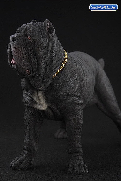 1/6 Scale black Neapolitan Mastiff