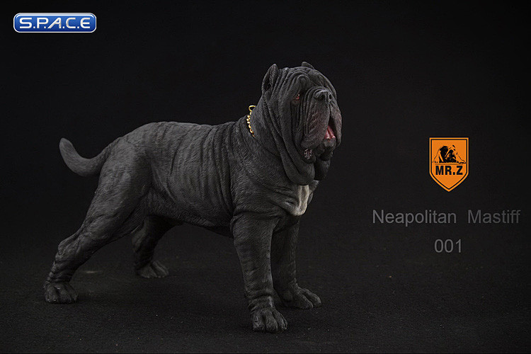 1/6 Scale black Neapolitan Mastiff