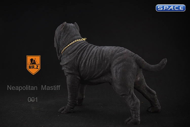 1/6 Scale black Neapolitan Mastiff