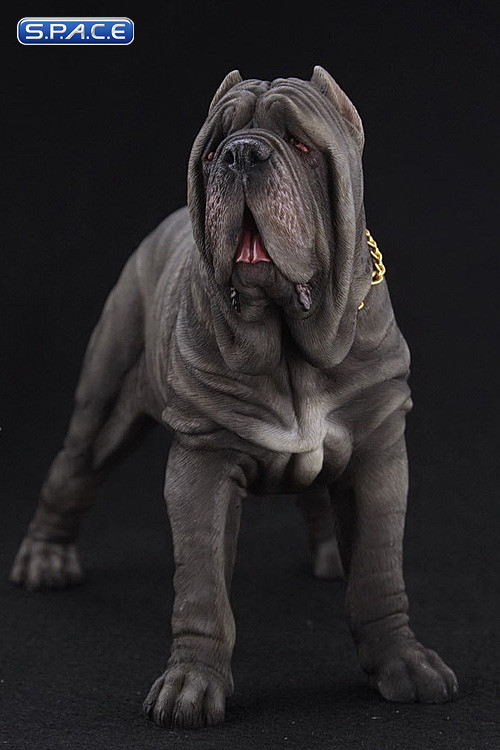 1/6 Scale grey Neapolitan Mastiff
