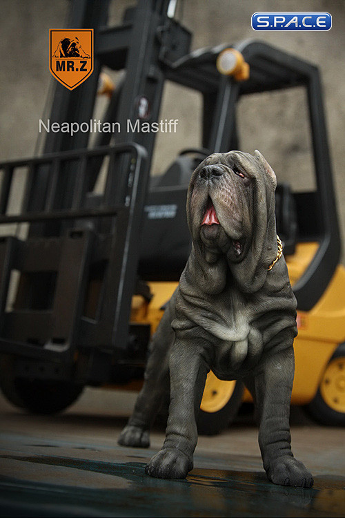 1/6 Scale grey Neapolitan Mastiff