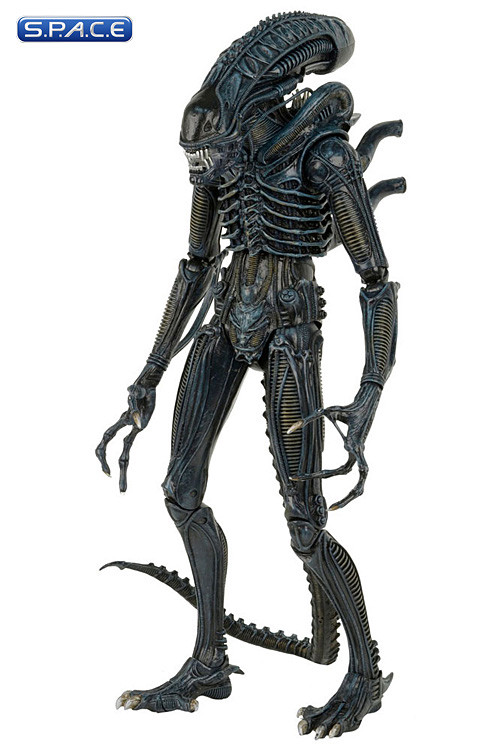 1/4 Scale Alien Warrior 1986 Version (Aliens)