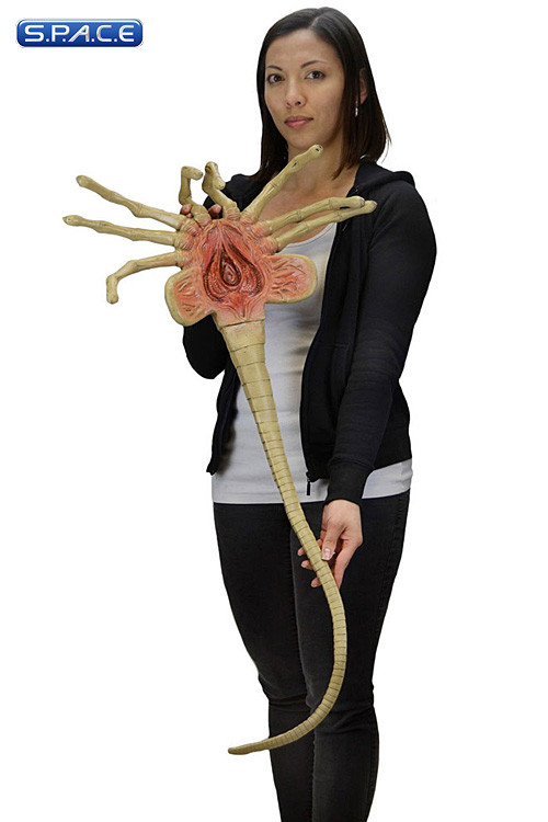 11 Facehugger LifeSize Prop Replica (Aliens)
