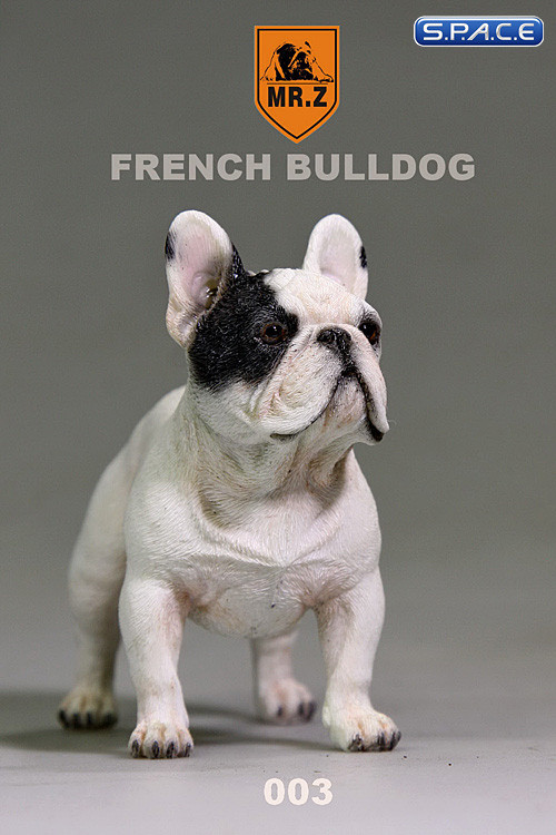 1/6 Scale white French Bulldog