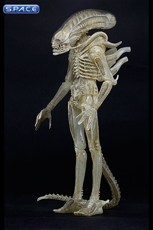 1/4 Scale 1979 Alien Big Chap Transculent Prototype Suit (Alien)