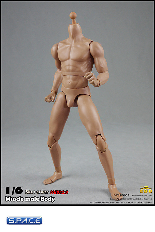 1/6 Scale Muscular Male Body 2.0