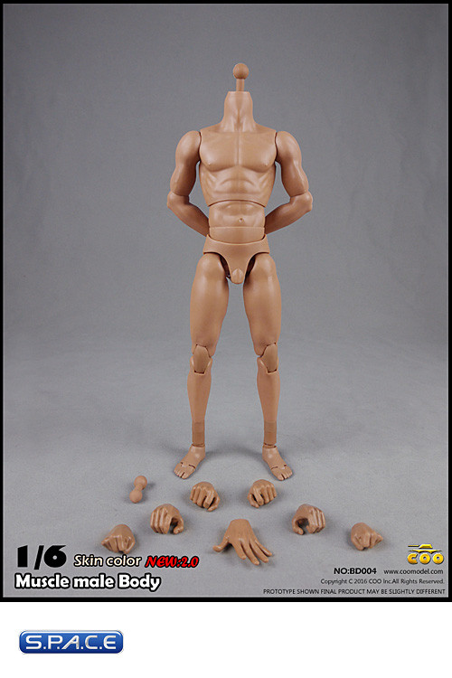 1/6 Scale Muscular Male high Body 2.0