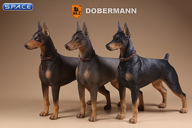 1/6 Scale German Doberman Version C