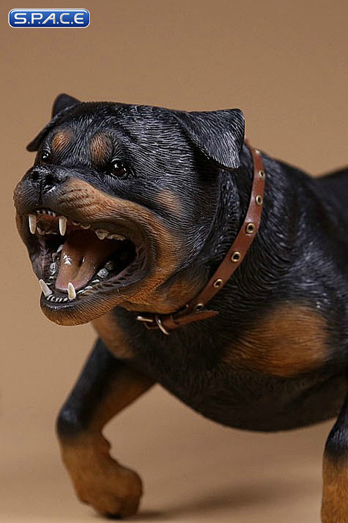 1/6 Scale Rottweiler Version B
