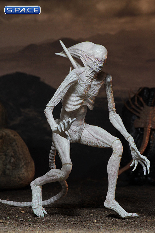 Neomorph (Alien: Covenant)