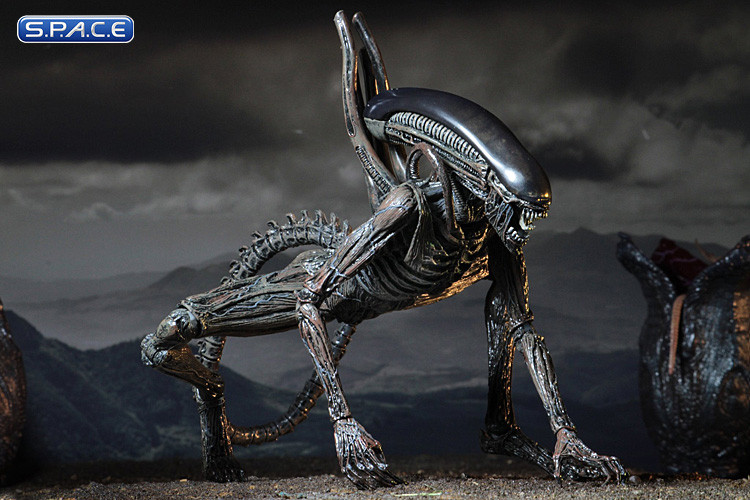 Xenomorph (Alien: Covenant)