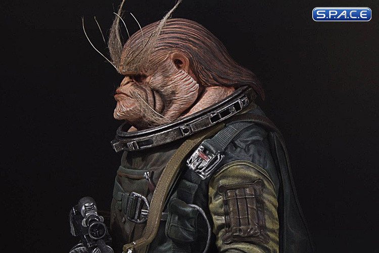 1/6 Scale Bistan Bust (Rogue One: A Star Wars Story)