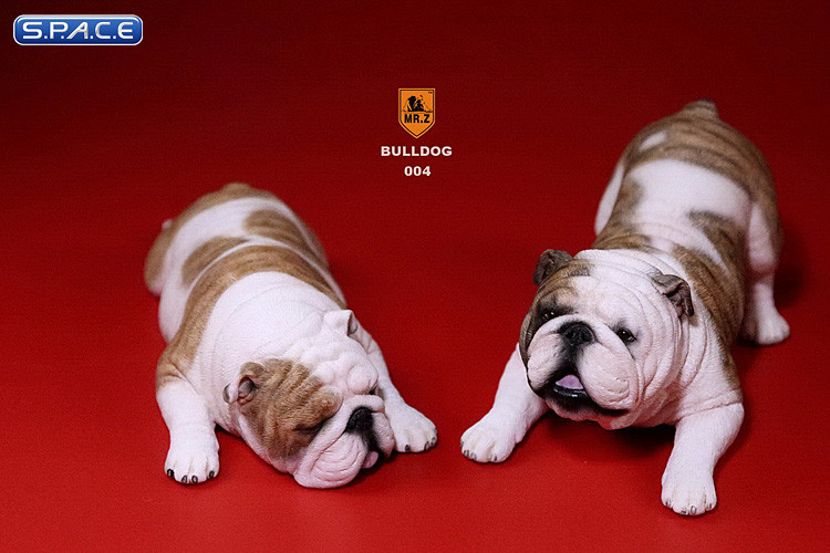 1/6 Scale yellow striped Bulldogs