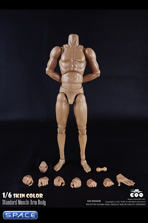 1/6 Scale Standard Muscle Arm High Body