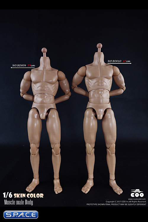 1/6 Scale Muscle male high Body