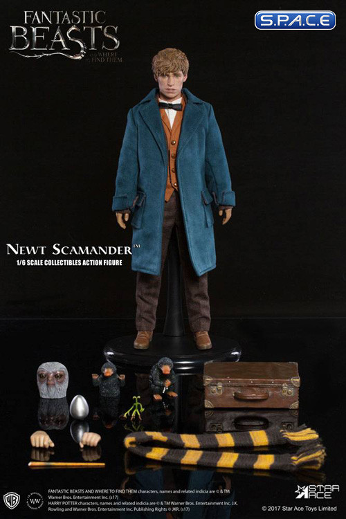1/6 Scale Newt Scamander (Fantastic Beasts and Where to Find Them)