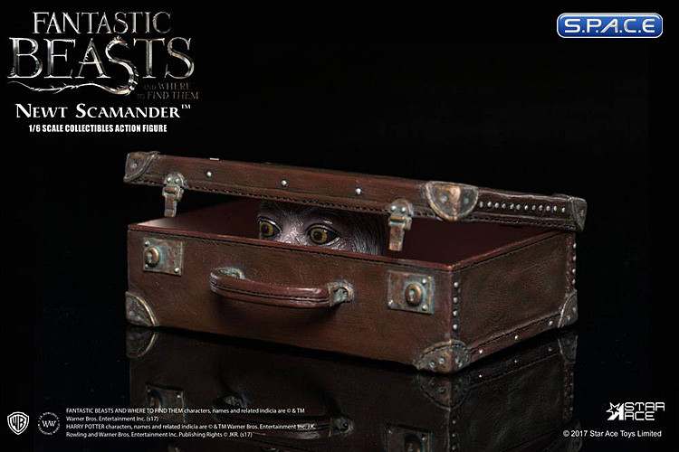 1/6 Scale Newt Scamander (Fantastic Beasts and Where to Find Them)